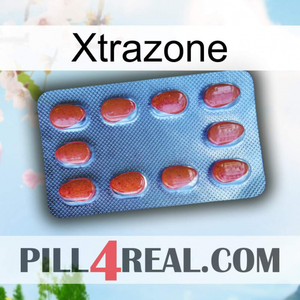 Xtrazone 06.jpg